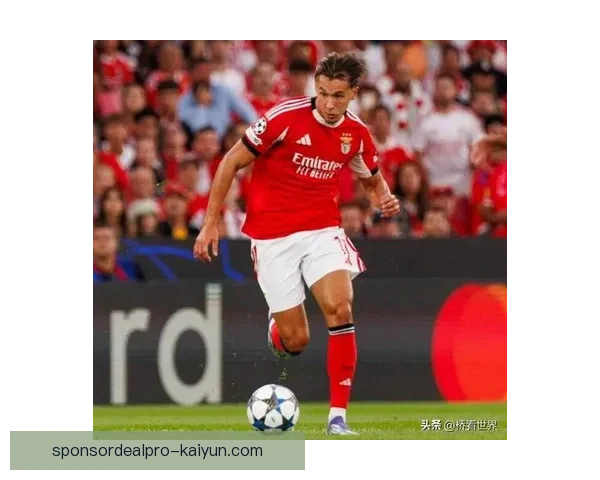 本菲卡本赛季表现稳健，竞技状态持续增强，值得关注。